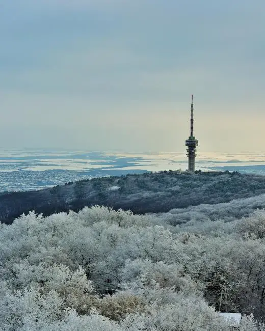 americans-moving-to-hungary-1
